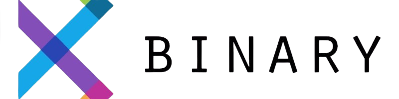 Binary Logo